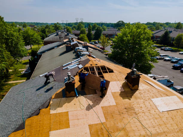 Trusted Roof Repair service in Irwin, ID - Brentwood Metal Roofing